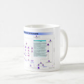 Mug Hématopoïèse du diagramme chez l'humain Cellules s (Devant droit)