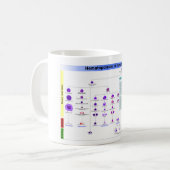 Mug Hématopoïèse du diagramme chez l'humain Cellules s (Devant gauche)