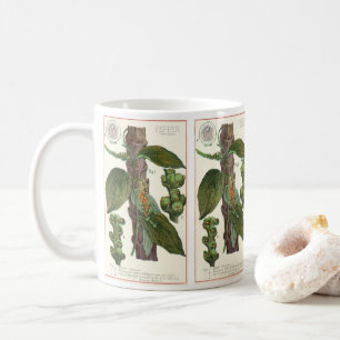 Mug Herbes alimentaires vintages épices, poivre noir P