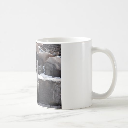 Mug Hermine sur des roches de Milou (Droite)