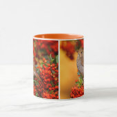 Mug Hermite Thrush Songbird sur araignée de feu (Centre)