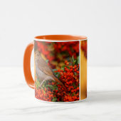 Mug Hermite Thrush Songbird sur araignée de feu (Devant gauche)