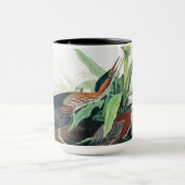 Mug Heron vert par John James Audubon (Centre)