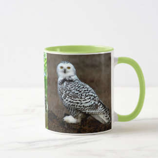 MUG HIBOU