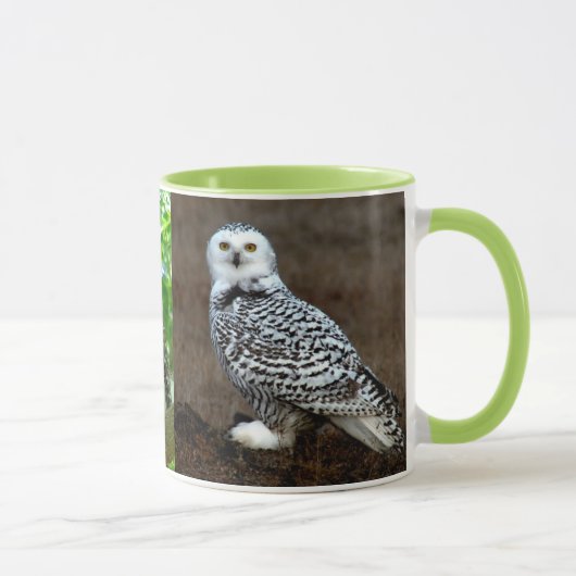 MUG HIBOU (Droite)