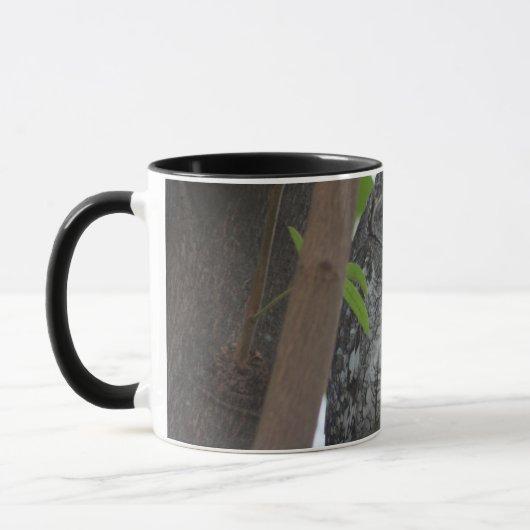 Mug Hibou africain dormant dans un arbre (Gauche)