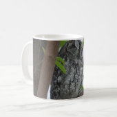 Mug Hibou africain dormant dans un arbre (Devant gauche)