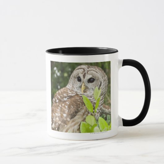 Mug Hibou barré (Droite)