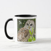 Mug Hibou barré (Gauche)