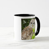 Mug Hibou barré (Devant droit)