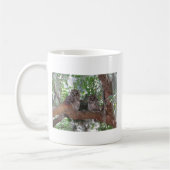 Mug Hibou barré (Gauche)