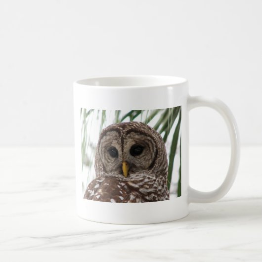 Mug Hibou barré (Droite)