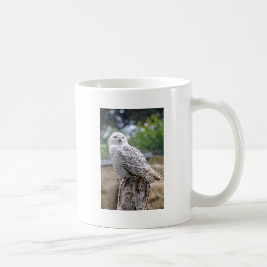 Mug Hibou des neiges (Droite)