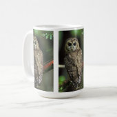 Mug Hibou repéré du nord (Devant gauche)