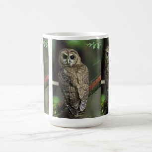 Mug Hibou repéré du nord