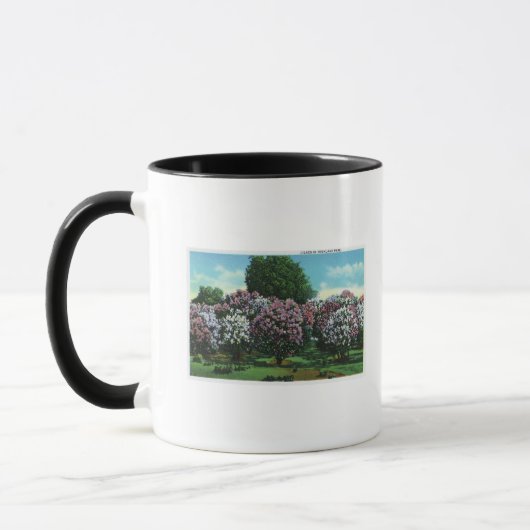 Mug Highland Park Lilacs à Bloom (Gauche)