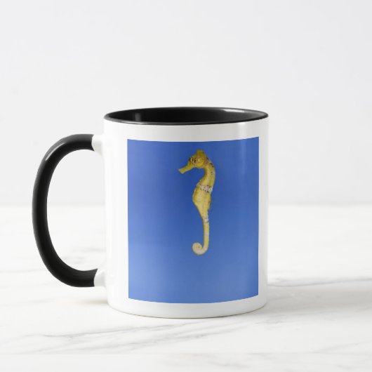 Mug Hippocampe (Gauche)