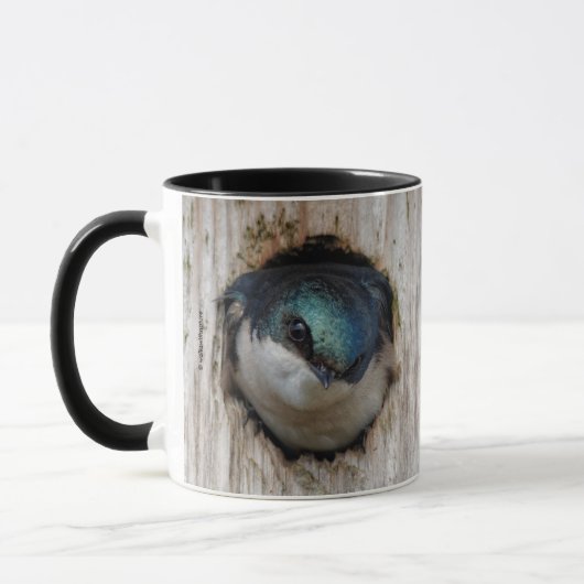 Mug Hirondelle d'arbre dans une boîte à nuit (Gauche)