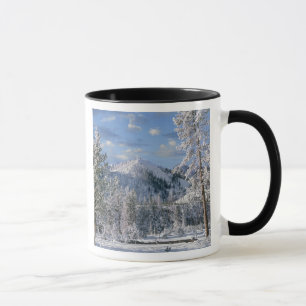 Mug Hiver dans le parc national de Yellowstone, Wyomin