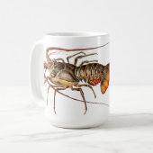 Mug Homard de roche - Panulirus Regis (Devant gauche)