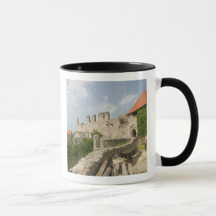 Mug HONGRIE, région du lac Balaton, SUMEG: Sumer