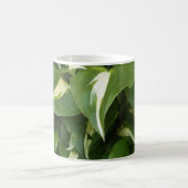 Mug Hosta Feuilles (Centre)
