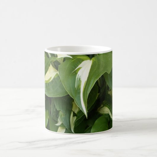 Mug Hosta Feuilles (Centre)