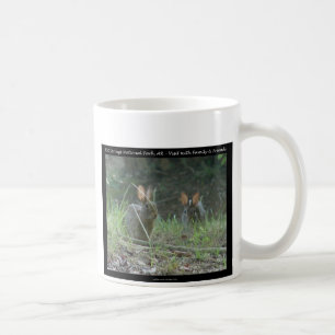 Mug Hot Springs National Park, AR Cadeaux de Lapins S