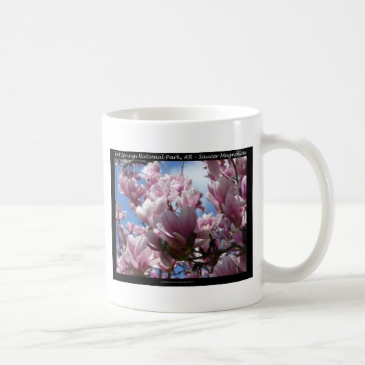 Mug Hot Springs National Park AR Saucer Magnoia Cadeau (Droite)