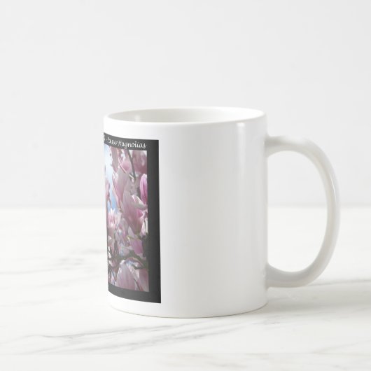 Mug Hot Springs National Park AR Saucer Magnoia Cadeau (Droite)
