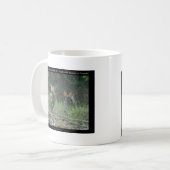 Mug Hot Springs National Park, AR Wild Rabbits Cadeaux (Devant gauche)