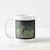 Mug Hot Springs National Park, AR Wild Rabbits Cadeaux (Gauche)