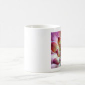 Mug houseleek (Centre)