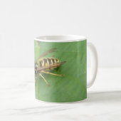 Mug Hoverfly sur une boule de feuilles (Devant droit)