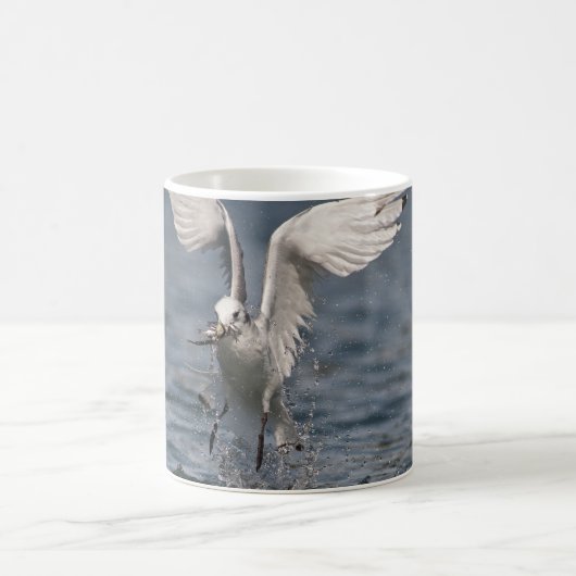 Mug Hovering Kittiwake (Centre)