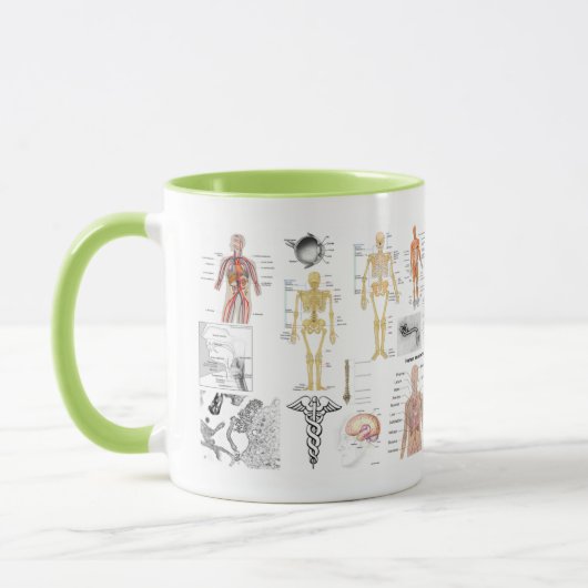 Mug Human Anatomy Charts (Gauche)