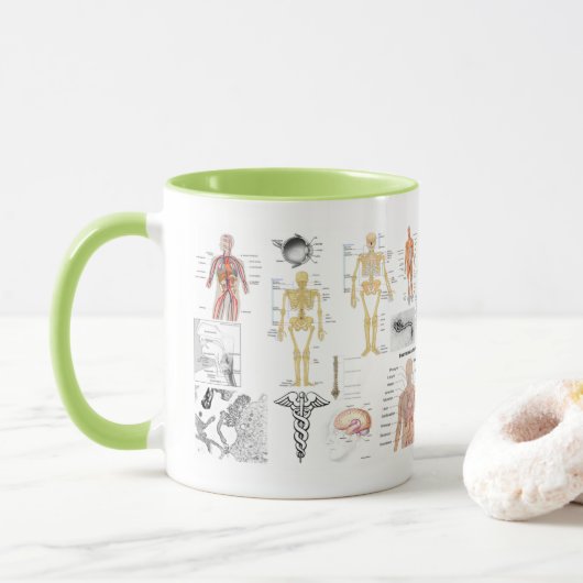 Mug Human Anatomy Charts (Avec donut)