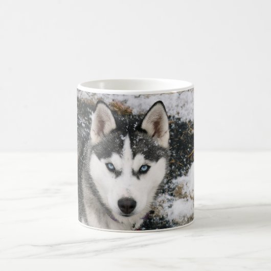 Mug Husky dog (Centre)