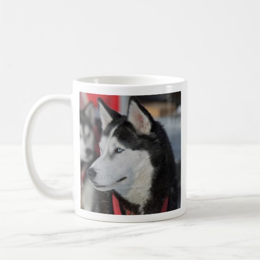 Mug Husky dog before a race (Gauche)