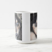 Mug Husky Un Oeil Bleu Un Oeil Brown (Centre)