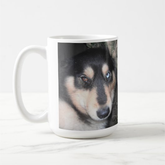 Mug Husky Un Oeil Bleu Un Oeil Brown (Gauche)