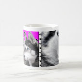 Mug huskys (Centre)