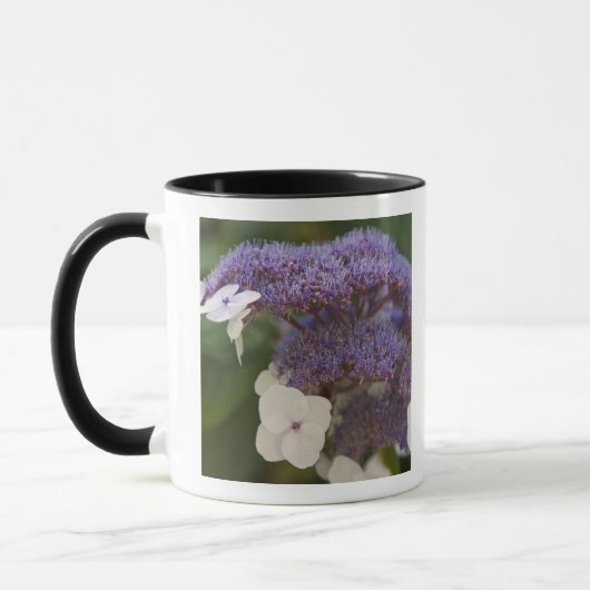 Mug Hydrangea en fleurs, Jardin chinois Dr Sun Yat-Sen (Gauche)