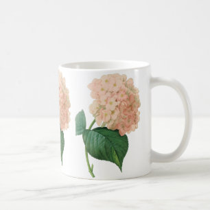 Mug Hydrangea Rose Ancien Hortensia Fleur de Redoute