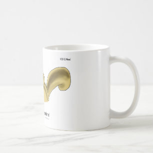 Mug ICD-10 : W53.21 mordu par l'écureuil