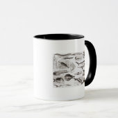 Mug Ichtyologie Elasmobranch, Ganoid (Devant droit)
