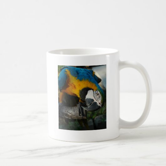 Mug ici vous regarde (Droite)