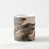 MUG IGUANA (Centre)
