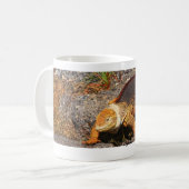 Mug Iguane de terre de Galapagos (Devant gauche)