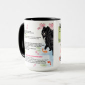 Mug IHANA'S SAKURA SYRUP Chow Art Muse Recipe  (Devant gauche)